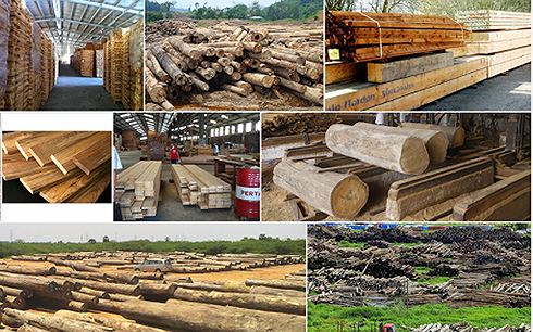 Xuất khẩu gỗ hứa hẹn sớm đạt mốc 1 tỷ USD nhờ Hiệp định EVFTA