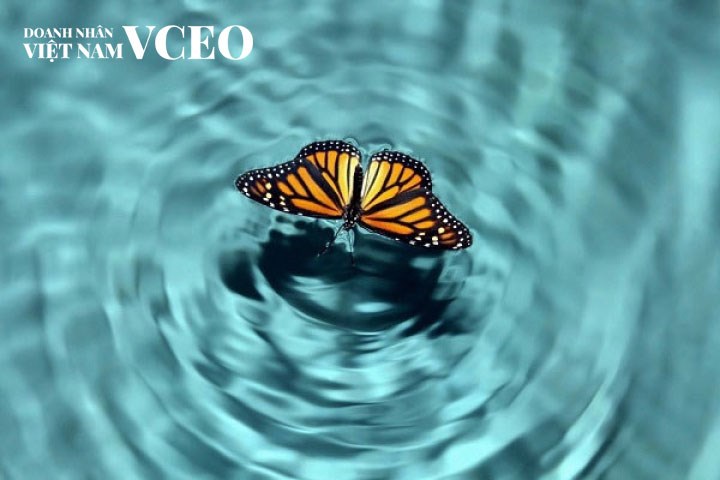 Hiệu ứng cánh bướm trong kinh doanh: Những bài học giá trị